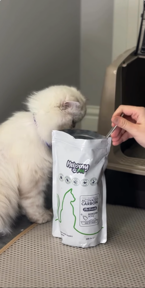 Melomy Pet