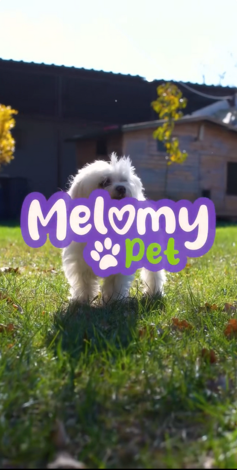 Melomy Pet